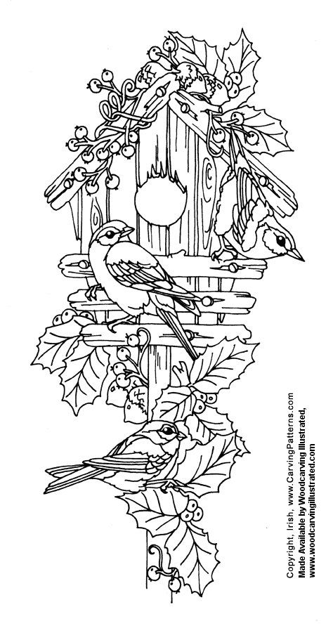 173 best Blackline - Birds images on Pinterest Coloring books - copy coloring pages birds in winter 173 best Blackline - Birds images on Pinterest Coloring books - copy coloring pages birds in winter