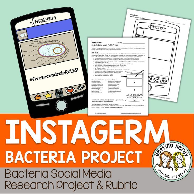 a research on bacteria Bacteria research papers discuss how bacteria forms, and the evolution process for bacteria paper masters has several biology experts that custom write our research papers on bacteria there are several ways that bacterial can be studied in a research paper. a research on bacteria Bacteria research papers discuss how bacteria forms, and the evolution process for bacteria paper masters has several biology experts that custom write our research papers on bacteria there are several ways that bacterial can be studied in a research paper.