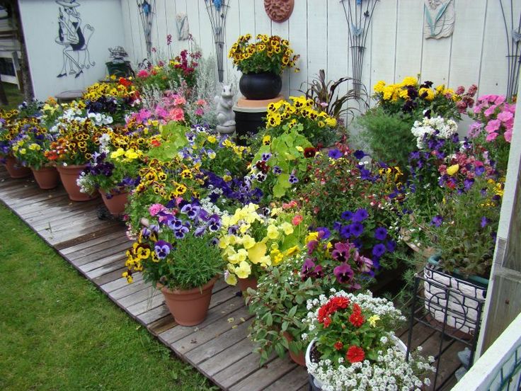 Photos 10 Pretty Container Garden Ideas Containers Design Flower Pots Outdoor Container Garden Design, Garden Pot Ideas Uk