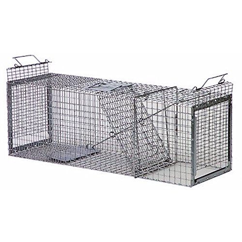 110 best pest control traps images on pinterest garden pests pest pests trap