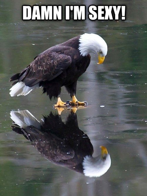 Cancer charity eagle head house island light light shaved Bank show tyra virginity