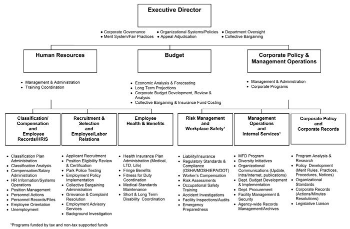 department of human resource organization chart business human resources department organizational chart