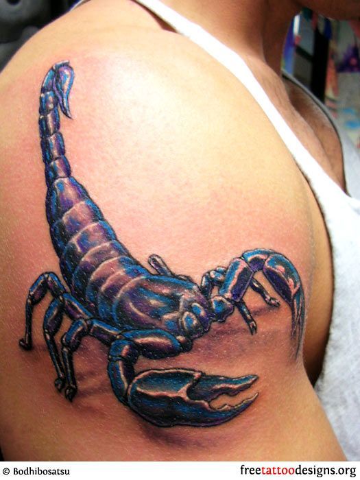 14 best tatto scorpion images on pinterest corona draw and 14 best tatto scorpion images on pinterest corona draw and