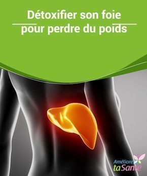 Detoxification du foie pour aider à bien perdre du poids Detoxification du foie pour aider à bien perdre du poids