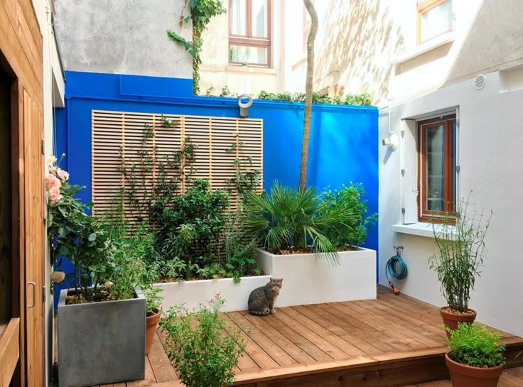 Comment aménager un patio en 5 points ?