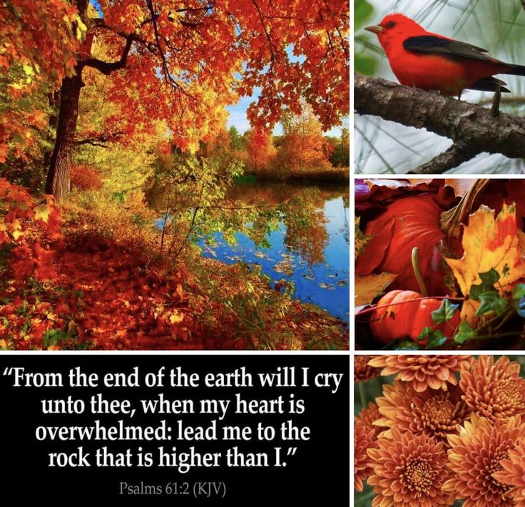 Pin De Demarcus Murray En October Scripture Verses En 2024 pin-de-demarcus-murray-en-october-scripture-verses-en-2024