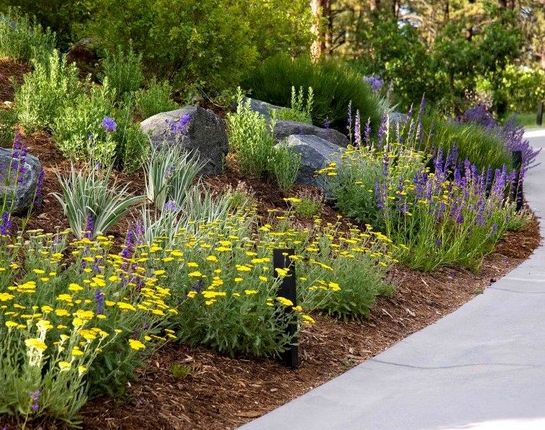 Best 25+ Water Wise Landscaping Ideas On Pinterest Water Wise Water Saving Tips for Water-Wise Landscapes | Lifescape - Best 25+ Water Wise Landscaping Ideas On Pinterest Water Wise
