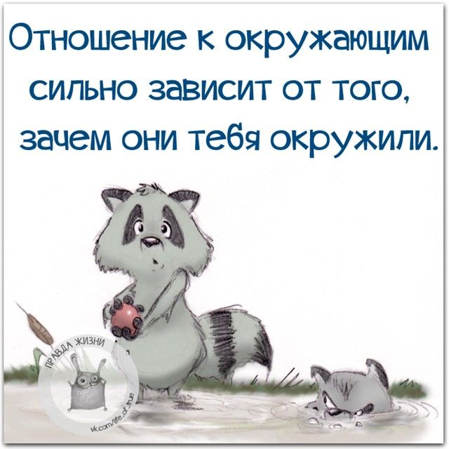 Спасибо, картинка смешные высказывания про отношения