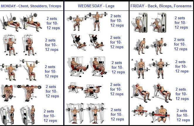 How to Build Muscle Quickly With a 3 Day a Week Routine