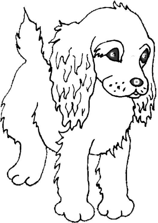 Cute Animal Coloring Pages To Print Now Blog Archive Cute Animal Coloring Pages To Print Now Blog Archive Dog Page Puppy