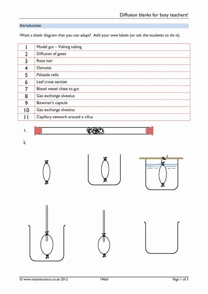 Diffusion and Osmosis Worksheet Luxury Osmosis and