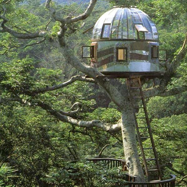 Treehouse Masters Prices 110 best treehouse dreams images on pinterest | treehouses Treehouse Masters Prices 110 best treehouse dreams images on pinterest | treehouses