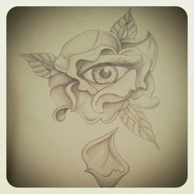 Eye Rose Pencil Sketch Rose Pencil Sketch Pencil Drawings Drawings Eye Rose Pencil Sketch Rose Pencil Sketch Pencil Drawings Drawings