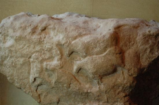 Tripadvisor Musee National De Prehistoire No Pinnable Images On Musee Website Itself Les Eyzies Trip Advisor Dordogne Photo