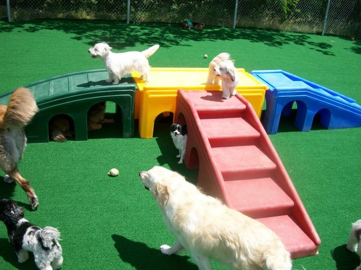 Dog Playground Equipment Dog Playground Equipment