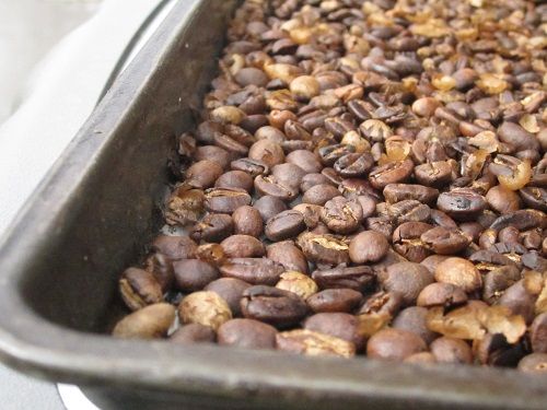Green coffee coffea arabica seed oil image 1