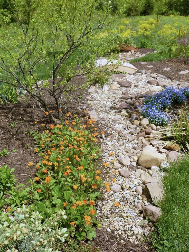 Garden Design Dry River Bed 135 best casab: dry river bed images on pinterest | rain garden Garden Design Dry River Bed 135 best casab: dry river bed images on pinterest | rain garden