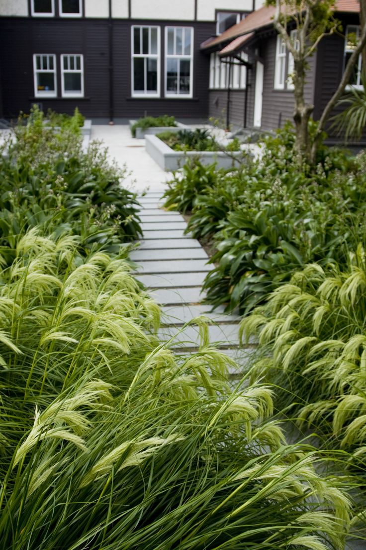 monochromatic garden gardens pinterest more native gardens and gardens ideas - Native Garden Ideas Nz monochromatic garden gardens pinterest more native gardens and gardens ideas - Native Garden Ideas Nz