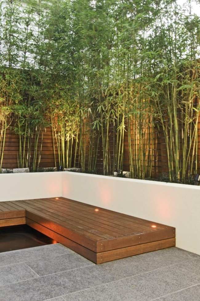 Die besten 25+ Bambus balkon Ideen auf Pinterest Bambusgarten - kleinen garten gestalten sichtschutz Die besten 25+ Bambus balkon Ideen auf Pinterest Bambusgarten - kleinen garten gestalten sichtschutz