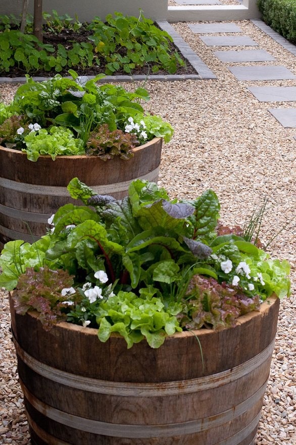 42 best Front yard Ve able garden images on Pinterest Half Wine Barrel Salad Planters if you re strapped for space don t have much time or room for a garden consider repurposing a large container to grow a