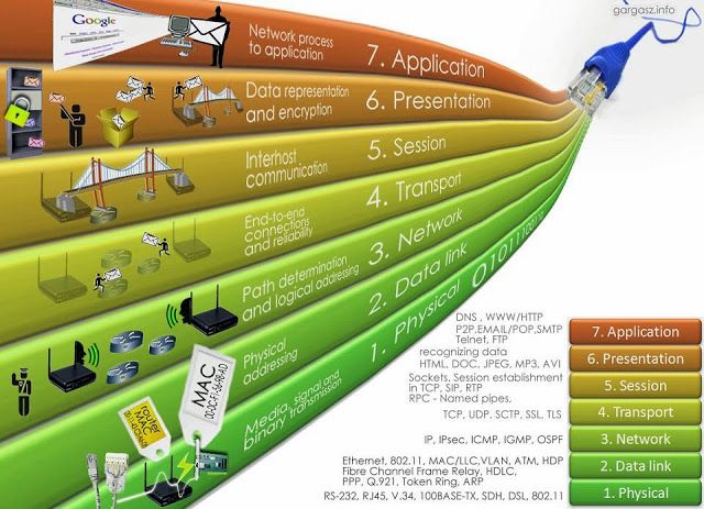 7 layer of networking