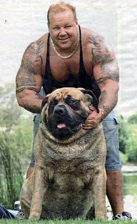 Biggest Cat In The World Guinness 2013 27 best world's biggest images on pinterest | world records Biggest Cat In The World Guinness 2013 27 best world's biggest images on pinterest | world records