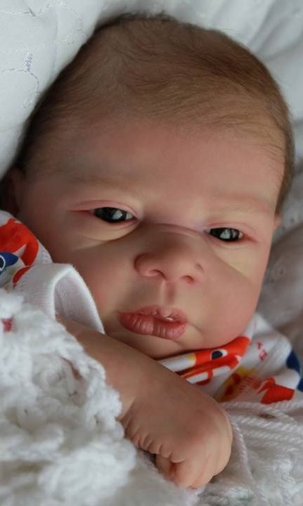 84 Best Reborn Dolls By Marian Ross Of Baby Sunshine Nursery Michelle Wosnjuk By Marian Ross Of Baby Sunshine Reborn Nursery Ebay Id Geo12crag