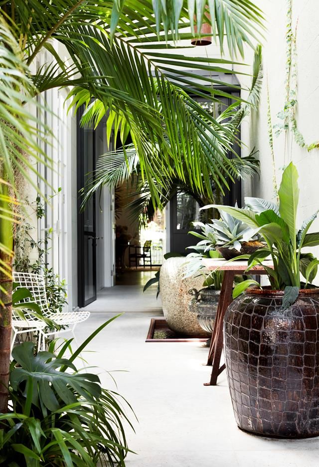 Backyard Paradis #exterior #exteriordesign #backyard #backyardgarden #homeidea