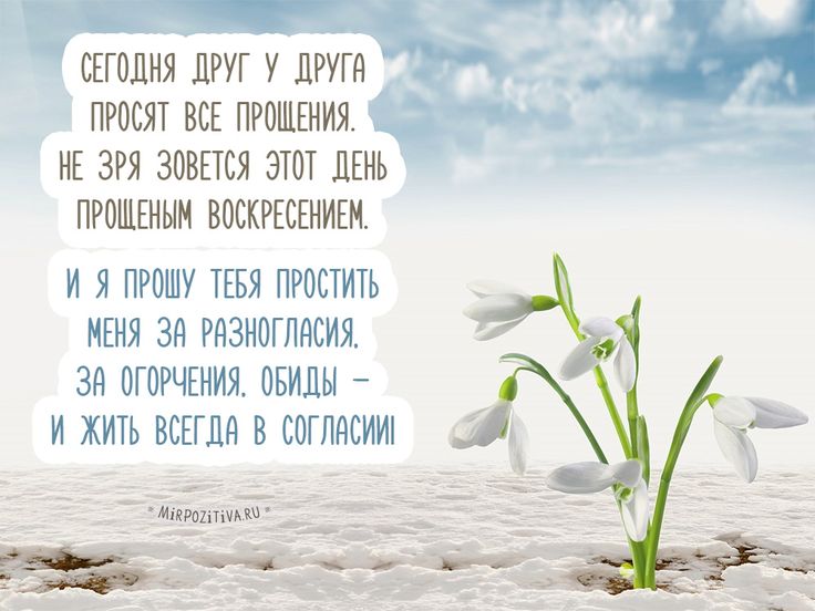 Рисовать, попросить прощение в открытки