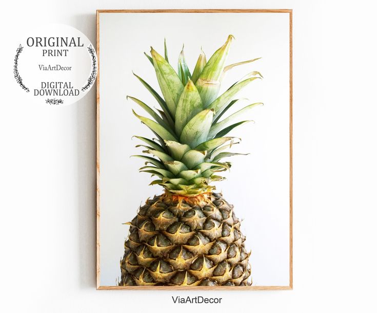 Tropical wall art Tropics beach Kitchen decor Plants wall art Tropical decor Tropical plants print Printable wall art Kitchen Art