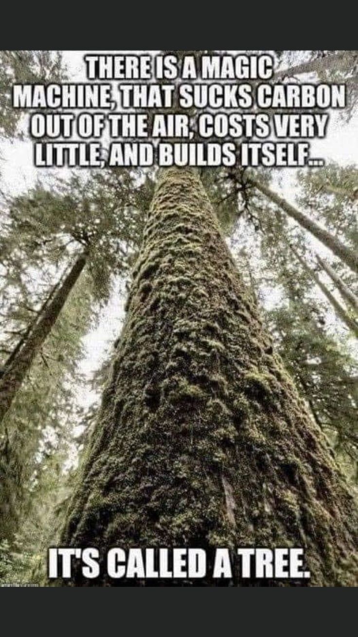 Pin By Jessie Elms On Our Beautiful Earth What Inspires You Wise Fdf642cd52514b6dbaf3eaf45c9a2b5f