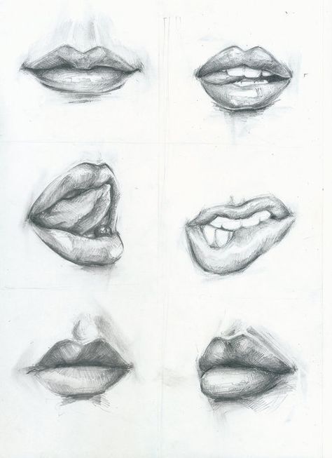 Die perfekten Lippen … Die perfekten Lippen …
