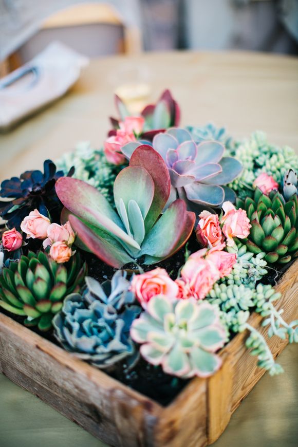 752 best Floral Arrangement Ideas images on Pinterest | Flower ... 752 best Floral Arrangement Ideas images on Pinterest | Flower ...