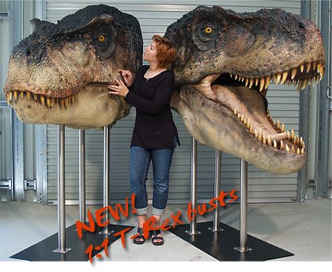 7 best dinos references images on pinterest dinosaurs cg art and t rex tooth size