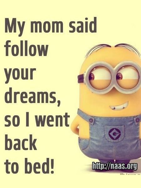 Minions have not only taken over the internet, they’ve also taken over our liv...