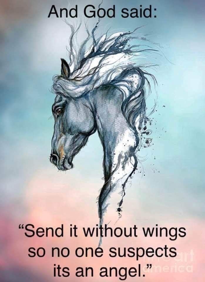 Great American Equine Insurance Claims
