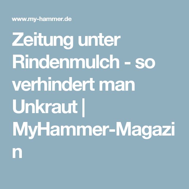 Die besten 25+ Rindenmulch Ideen auf Pinterest Vorgarten ideen - vorgartengestaltung mit rindenmulch und kies Die besten 25+ Rindenmulch Ideen auf Pinterest Vorgarten ideen - vorgartengestaltung mit rindenmulch und kies