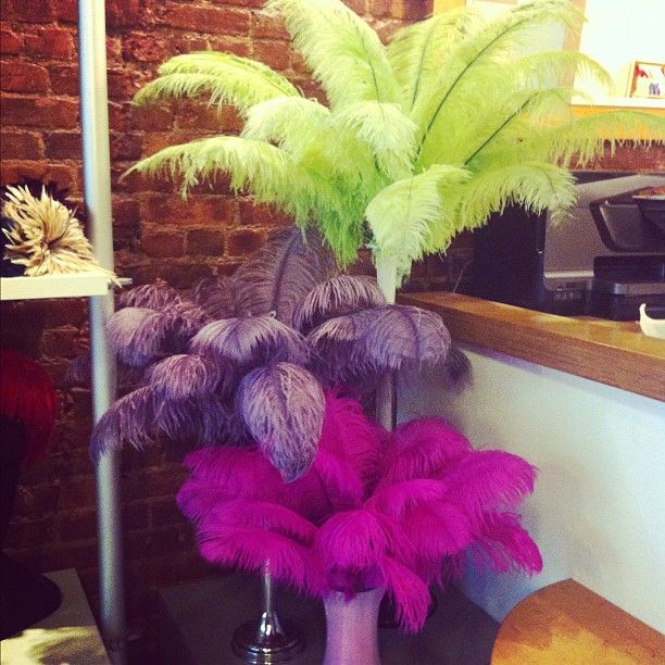 Ostrich Feather Centerpiece Kits Canada : Best party hollywood images on pinterest