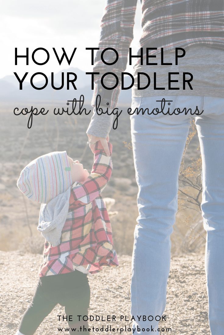 The Beginner's Guide to Positive Discipline For Toddlers - The Toddler Playb...