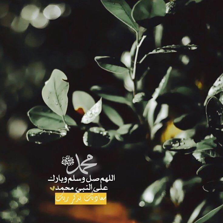 ياسر الدوسري ماهر المعيقلي اسلام صبحي منصور السالمي سعادتك بذكر ربك اللهم صل على سيدنا محمد In 2021 Blessed Friday Instagram Posts Instagram