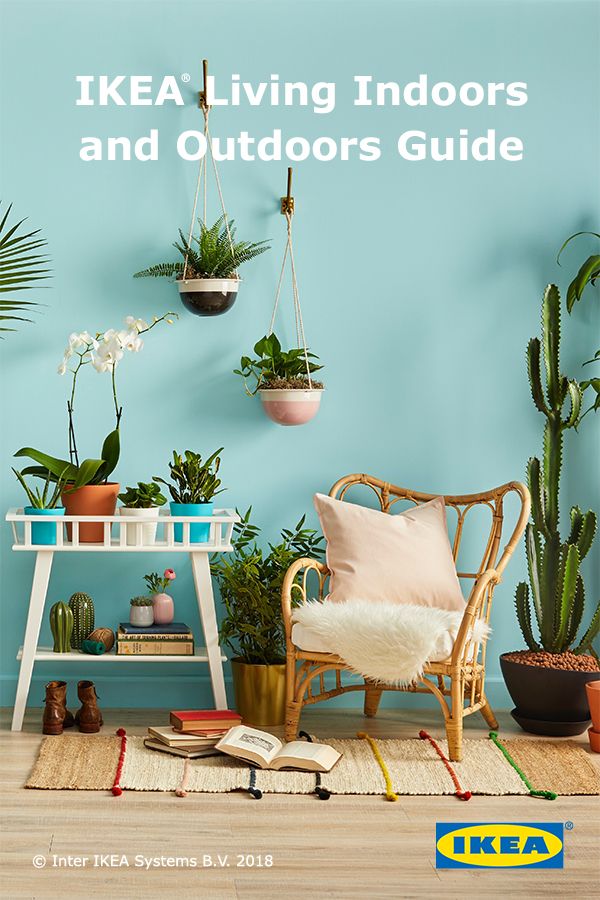 Find The Perfect Indoor Plant For Every Home With Ikea Find The Perfect Indoor Plant For Every Home With Ikea Guide