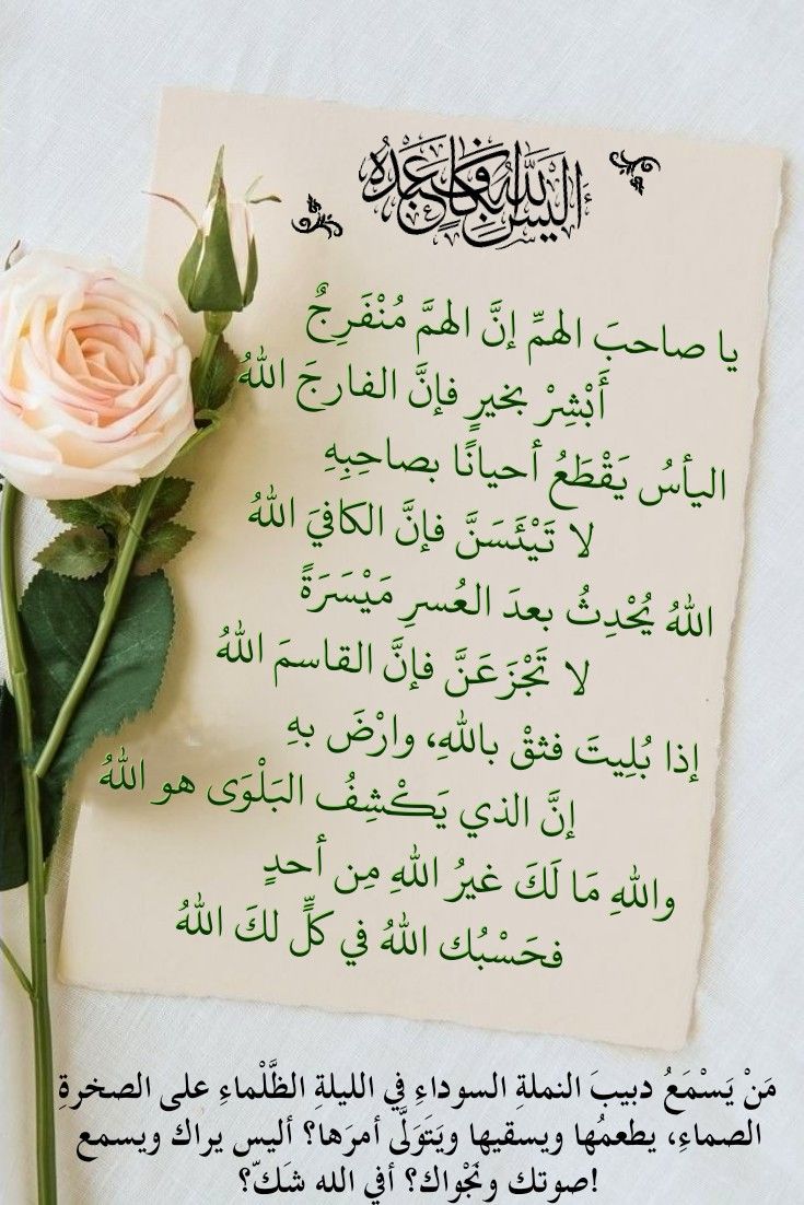 م ن لا ي ر ح م لا ي ر ح م