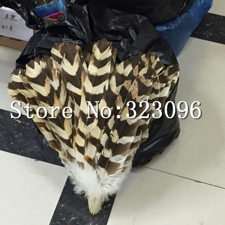 Decorative Feather Balls Mesmerizing Cheap Feather Eps Buy Quality Decorative Feather Balls Directly Inspiration Decorative Feather Balls Adorable Cheap Feather Eps Buy Quality Decorative Feather Balls Directly 2018