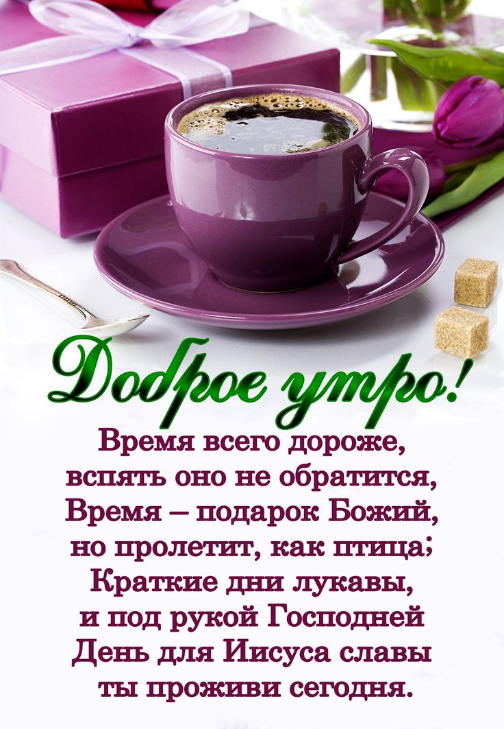 Рисунок окуня, христианские открытки доброе утро и хорошего