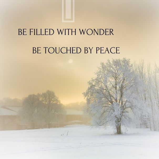 Best Snowy Winter Gold Images On Pinterest Winter Landscape