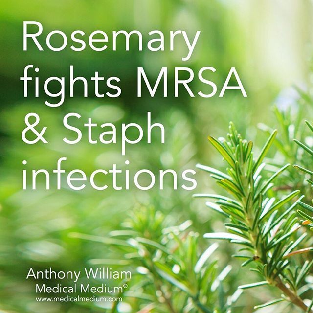 Best Natural Antibiotic For Staff Best Natural Antibiotic For Staff