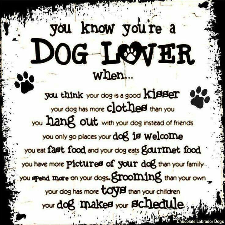 599 Best Doggie Truths And Sayings Images On Pinterest 599 Best Doggie Truths And Sayings Images On Pinterest