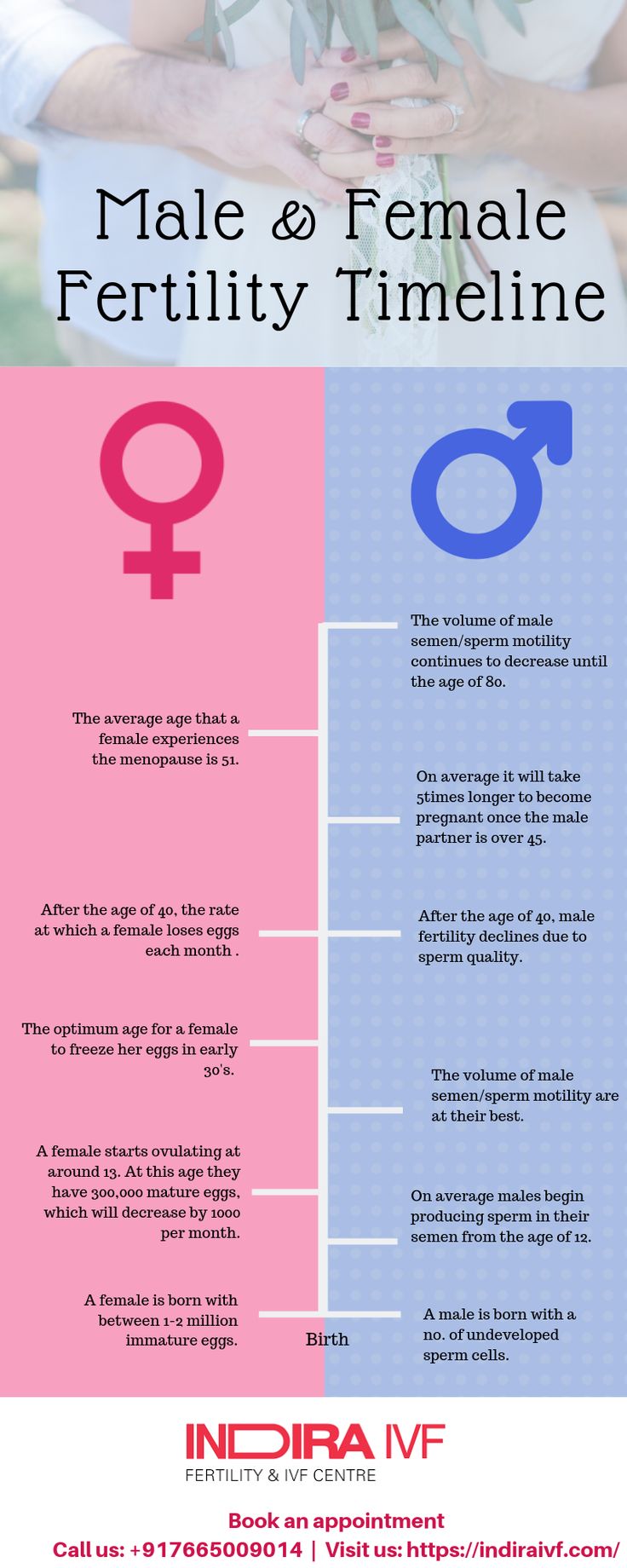 Pin on Fertility Infographics