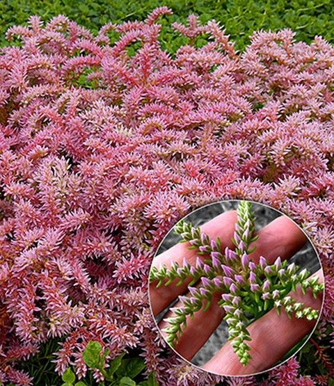 Die besten 25+ Gartengestaltung hanglage Ideen auf Pinterest - bilder gartengestaltung hanglage Die besten 25+ Gartengestaltung hanglage Ideen auf Pinterest - bilder gartengestaltung hanglage