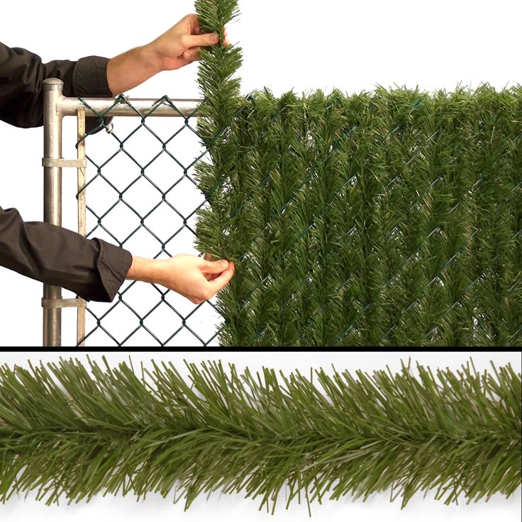 Garden Ideas To Hide Fence 589 best garden fences images on pinterest | backyard ideas Garden Ideas To Hide Fence 589 best garden fences images on pinterest | backyard ideas